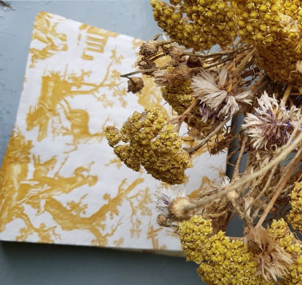 SERVIETTES EN PAPIER "Les plaisirs de la campagne" Curry