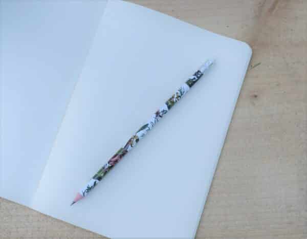 CRAYON A PAPIER LES 4 PARTIES DU MONDE