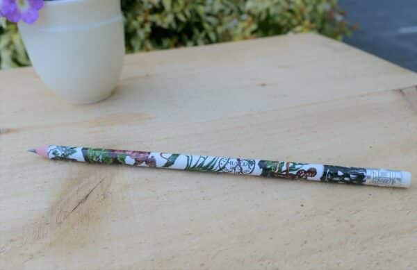 CRAYON A PAPIER LES 4 PARTIES DU MONDE – Image 2