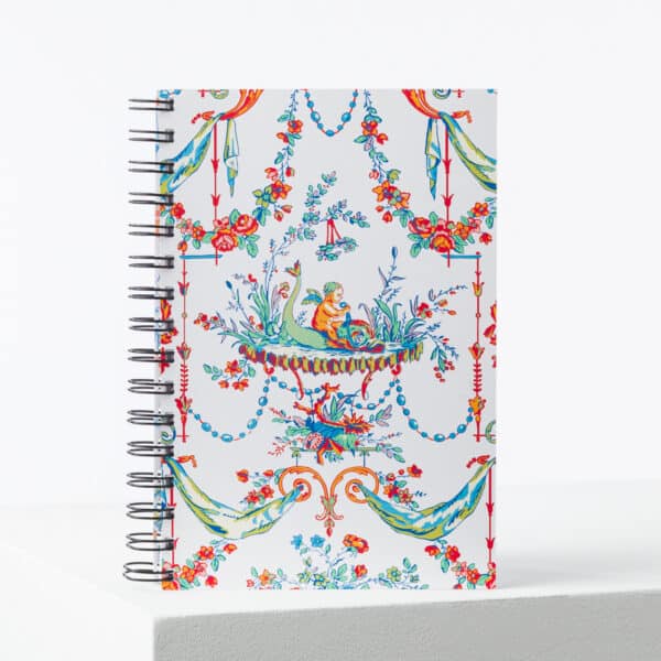 CARNET SPIRALES "L'ENFANT AU DAUPHIN"