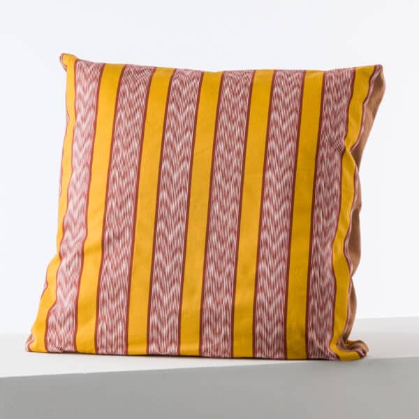 COUSSIN "L'ABREUVOIR" PICANTE – Image 2
