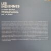 LES INDIENNES - La création des toiles imprimées des indes aux manufactures alsaciennes. – Image 4