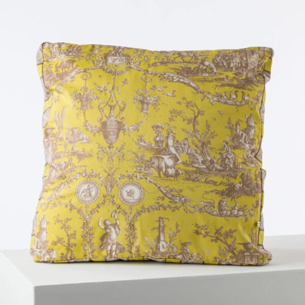 COUSSIN 50X50 L.A CELERI