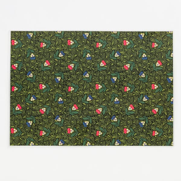 SET DE TABLE PLASTIFIE "BONNES HERBES"