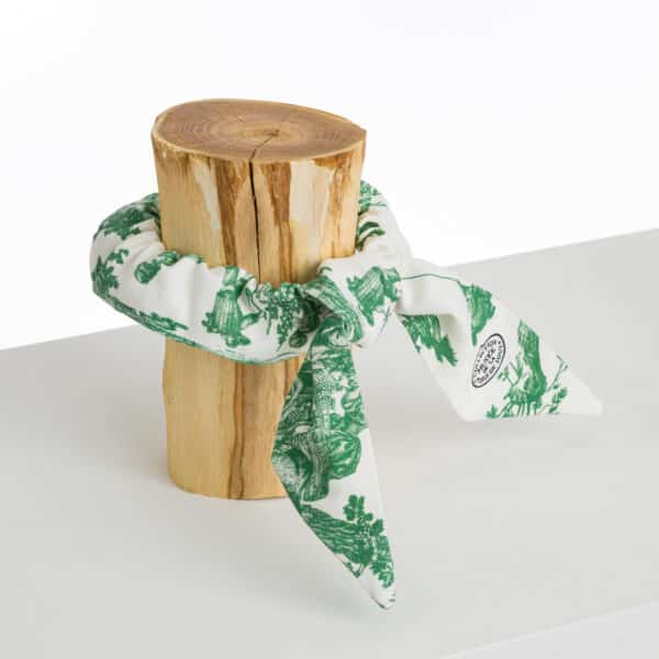 FOULCHIE "LES DELICES DES 4 SAISONS" VERT