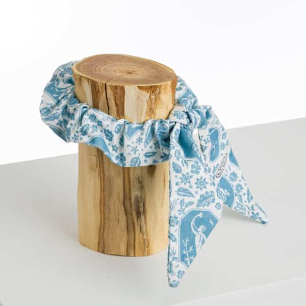 FOULCHIE "LES CAMEES" BLEUS
