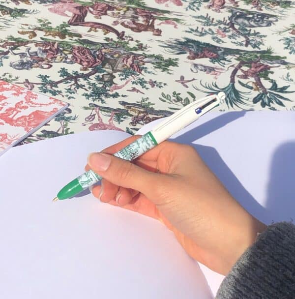 BIC "LES DELICES DES 4 SAISONS" VERT – Image 2