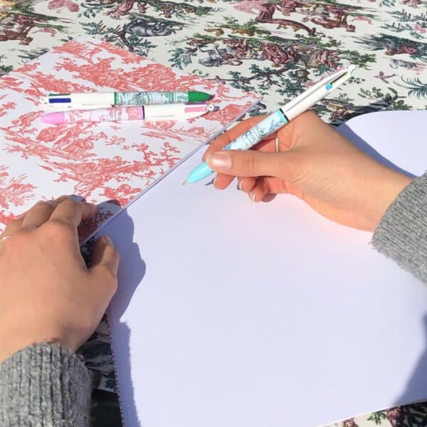 BIC "LES DELICES DES 4 SAISONS" BLEU – Image 2