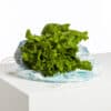 SAC A SALADE "COURONNEMENT DE LA ROSIERE" BLEU LAGON – Image 2