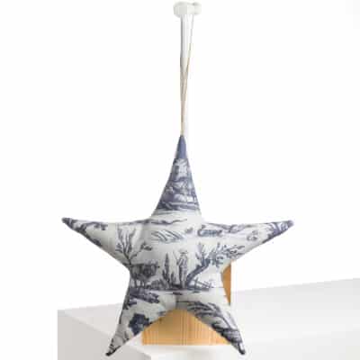 ETOILE DE DECORATION