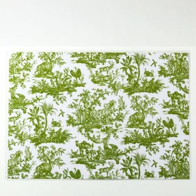 SET DE TABLE PLASTIFIE "4 PARTIES DU MONDE" VERT JUNGLE