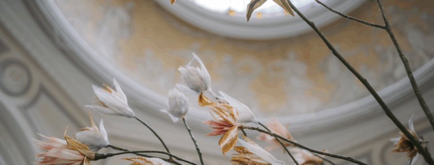 Délicates fleurs artificielles aux pétales blancs et orange sur de fines branches, placées sur un plafond en dôme orné et flou du musée de la Toile de Jouy, surmonté d'un vitrail rond. - Musée de la Toile de Jouy