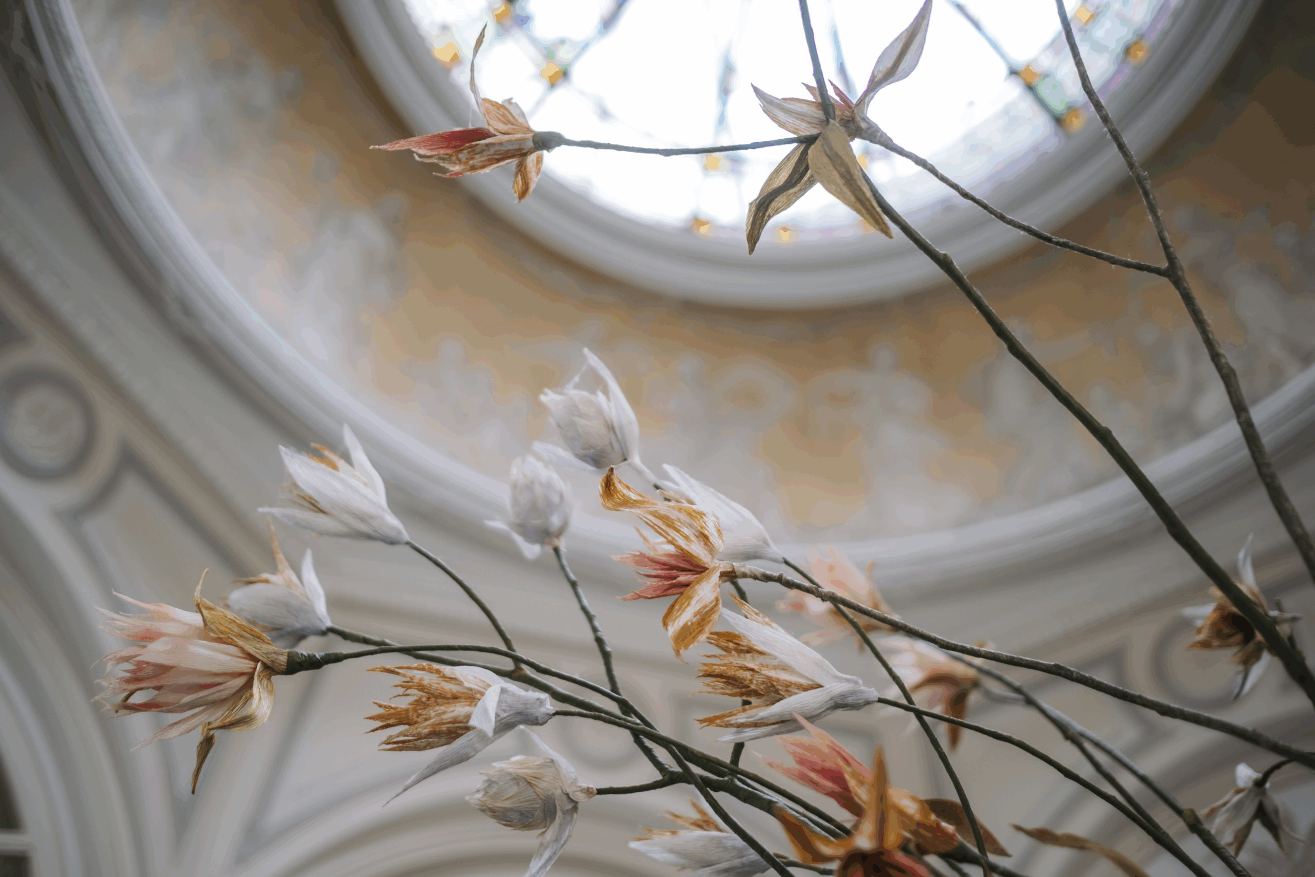 Délicates fleurs artificielles aux pétales blancs et orange sur de fines branches, placées sur un plafond en dôme orné et flou du musée de la Toile de Jouy, surmonté d'un vitrail rond. - Musée de la Toile de Jouy