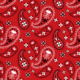 Motif de bandana rouge composé de motifs paisley noirs et blancs, de fleurs et de pois disposés selon un motif répétitif. Le fond est d'un rouge uni, ce qui confère au motif un style classique, audacieux et éclatant — idéal pour un atelier pour enfants destiné aux 6 à 12 ans ou pour toute activité ludique et créative autour du bandana. - Musée de la Toile de Jouy